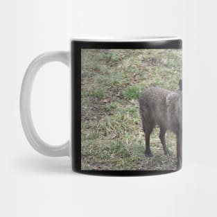 Black Wolf Mug